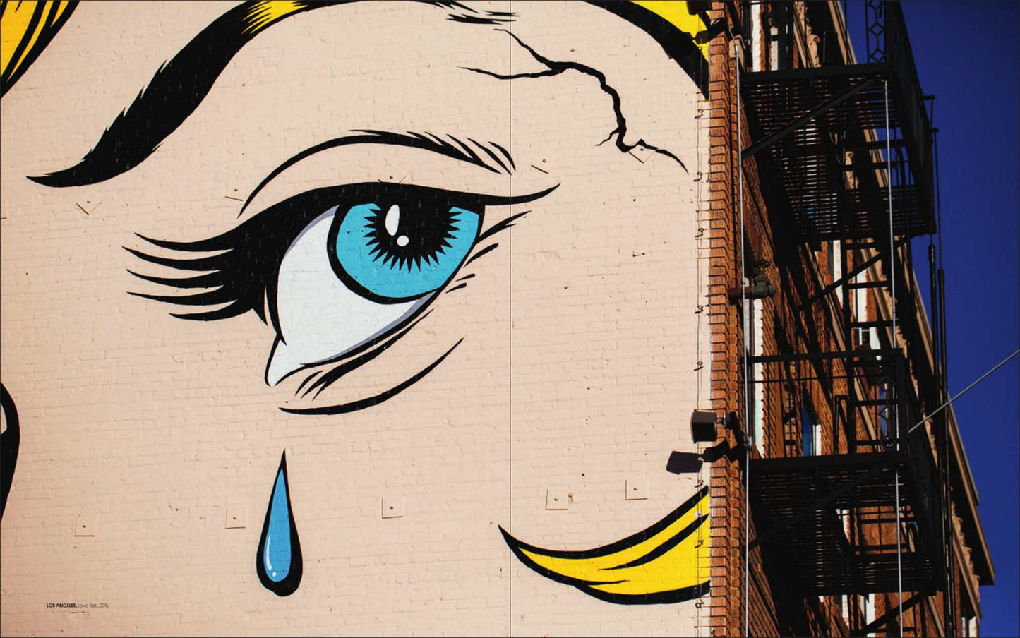 D*FACE, LA MONOGRAPHIE