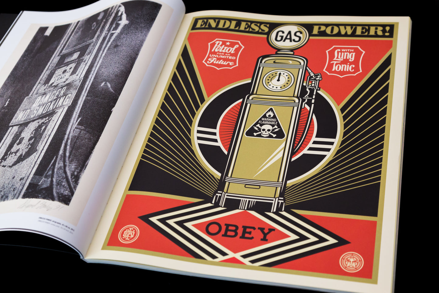 Livre "Earth Crisis" par Shepard Fairey - Intérieur