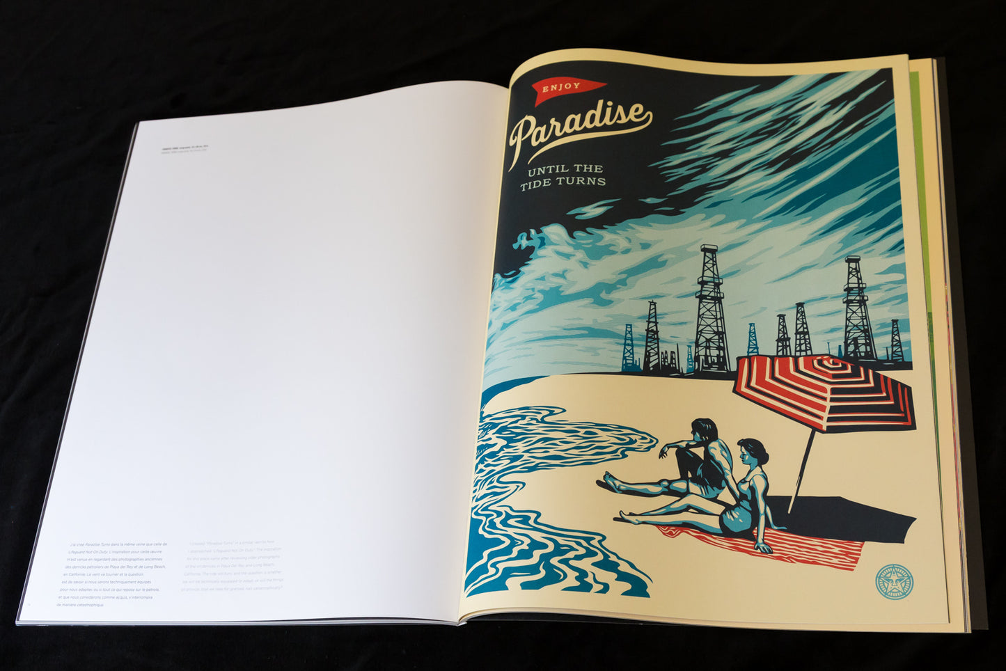 Livre "Earth Crisis" par Shepard Fairey - Intérieur