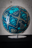 Globe "Earh Crisis" par Shepard Fairey